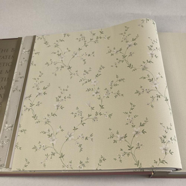 Alessandro Allori Bruni RBN 1001-7