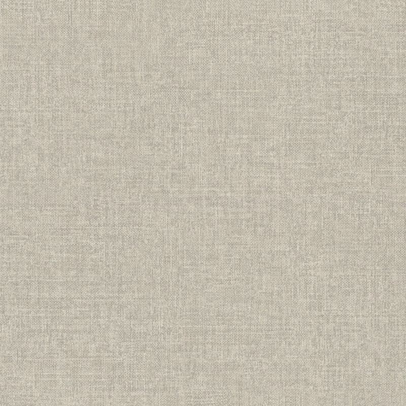 Rasch Metal Spirit 970517