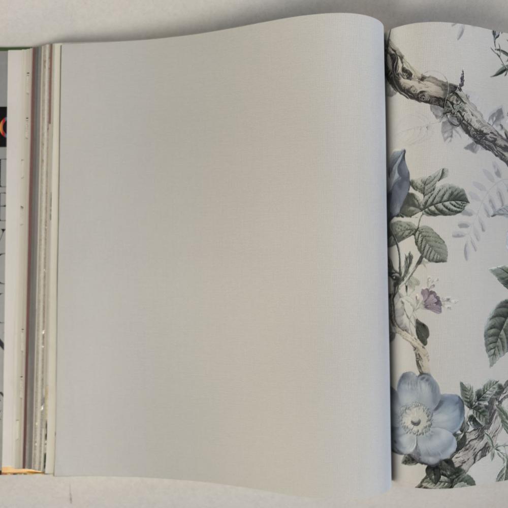 Andrea Rossi Cavolli 54420-6 Andrea Rossi Cavolli 54420-6