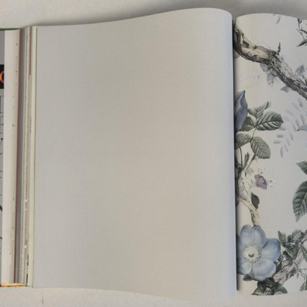 Andrea Rossi Cavolli 54420-6 Andrea Rossi Cavolli 54420-6