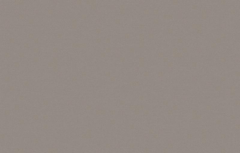 Loymina Equator QTR8 008