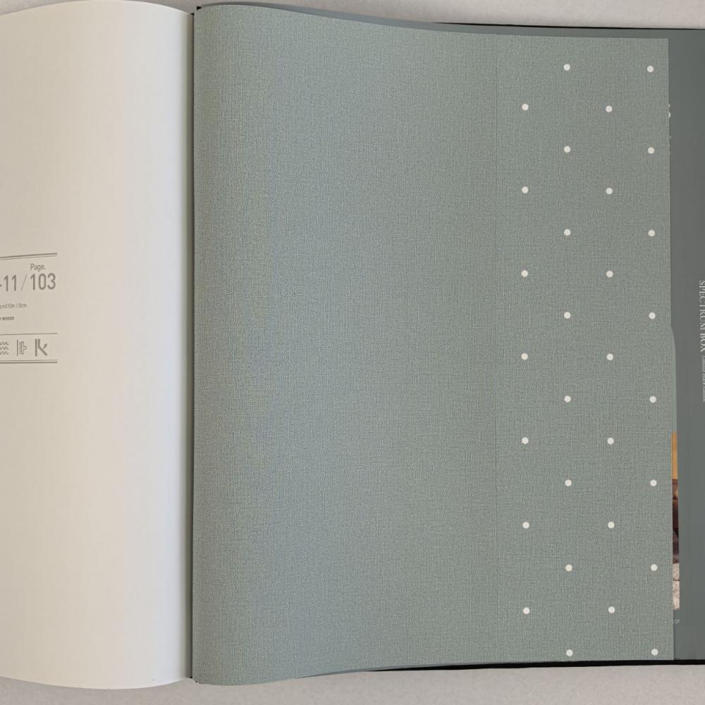 Andrea Rossi Spectrum Box 54454-17